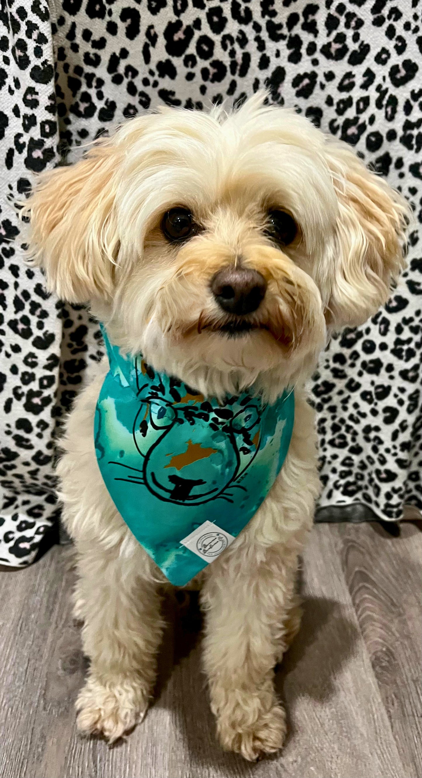 It is Still the Jags| Reversible Teal Tie-Dye Bandana | Salute to Service Collection