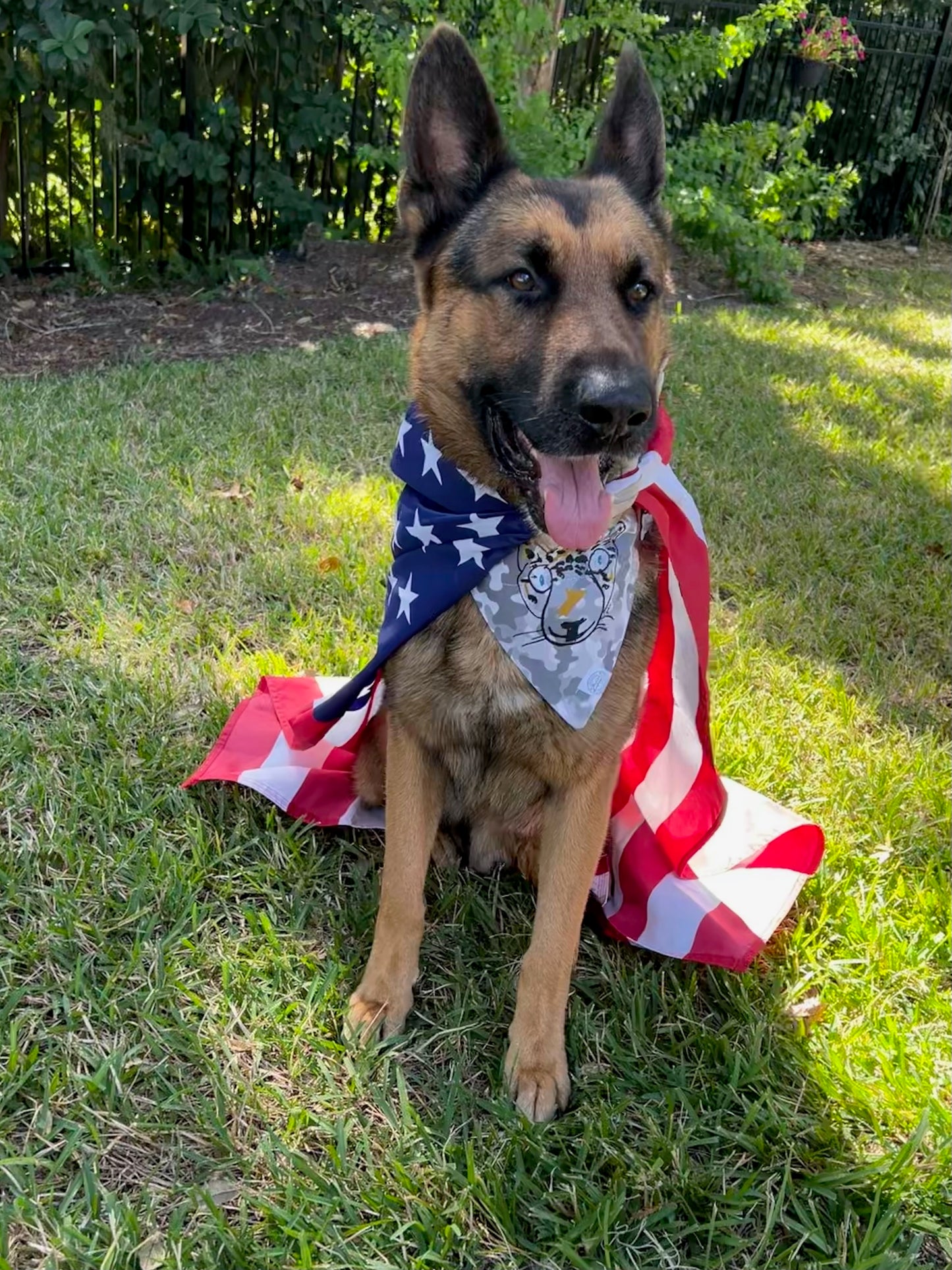 It is Still the Jags | OG Camo Pet Bandana | Salute to Service Collection