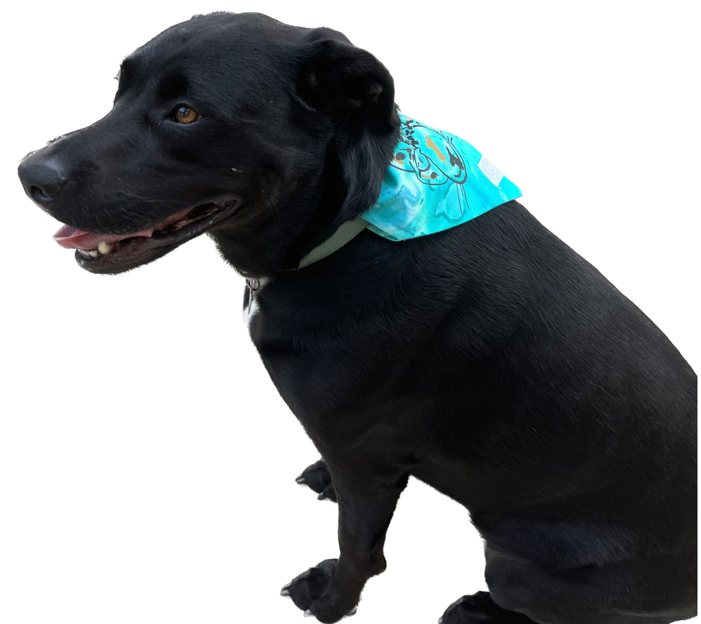 It is Still the Jags| Reversible Teal Tie-Dye Bandana | Salute to Service Collection