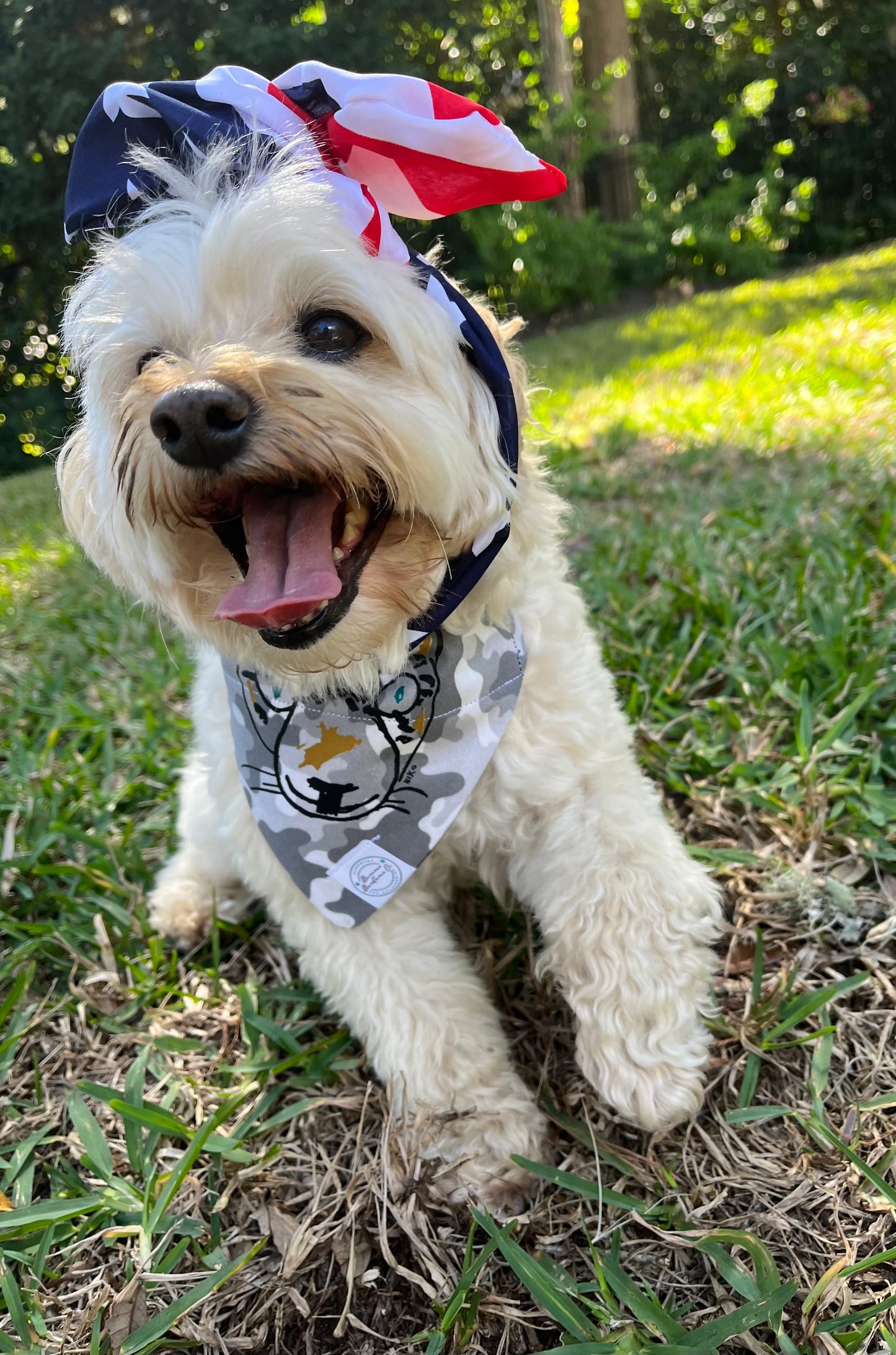 It is Still the Jags | OG Camo Pet Bandana | Salute to Service Collection