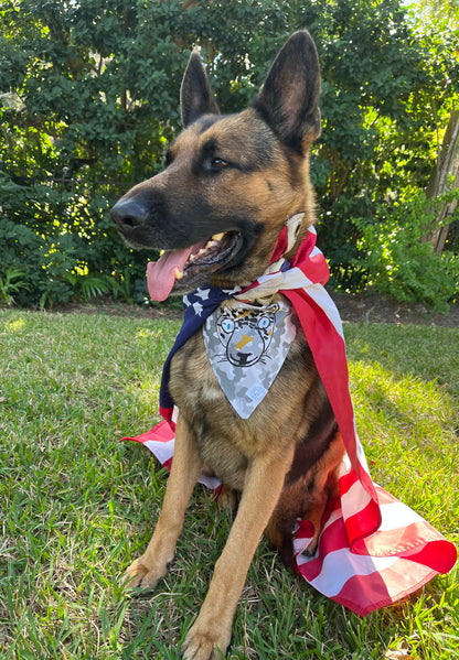 It is Still the Jags | OG Camo Pet Bandana | Salute to Service Collection